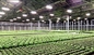 Full Cycle Growing 660nm IP65 Vegetable LED Grow Lights
