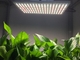 Dimmable AC 265V SMD2835 Quantum Board Led Grow Lights